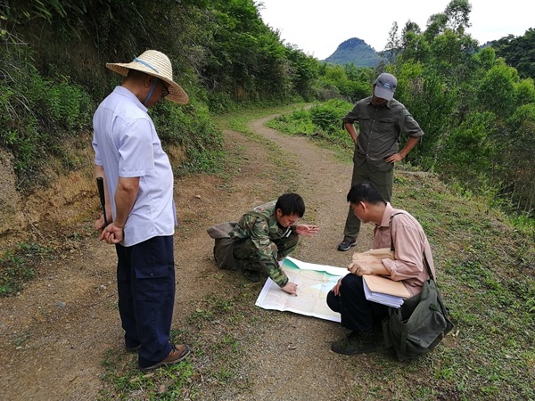 桂林理工大学与广西第四地质队在西大明山国家级整装勘查区开展矿产地质调查工作。桂林理工大学供图